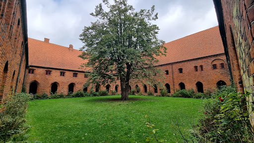 Helsingør Domsogn