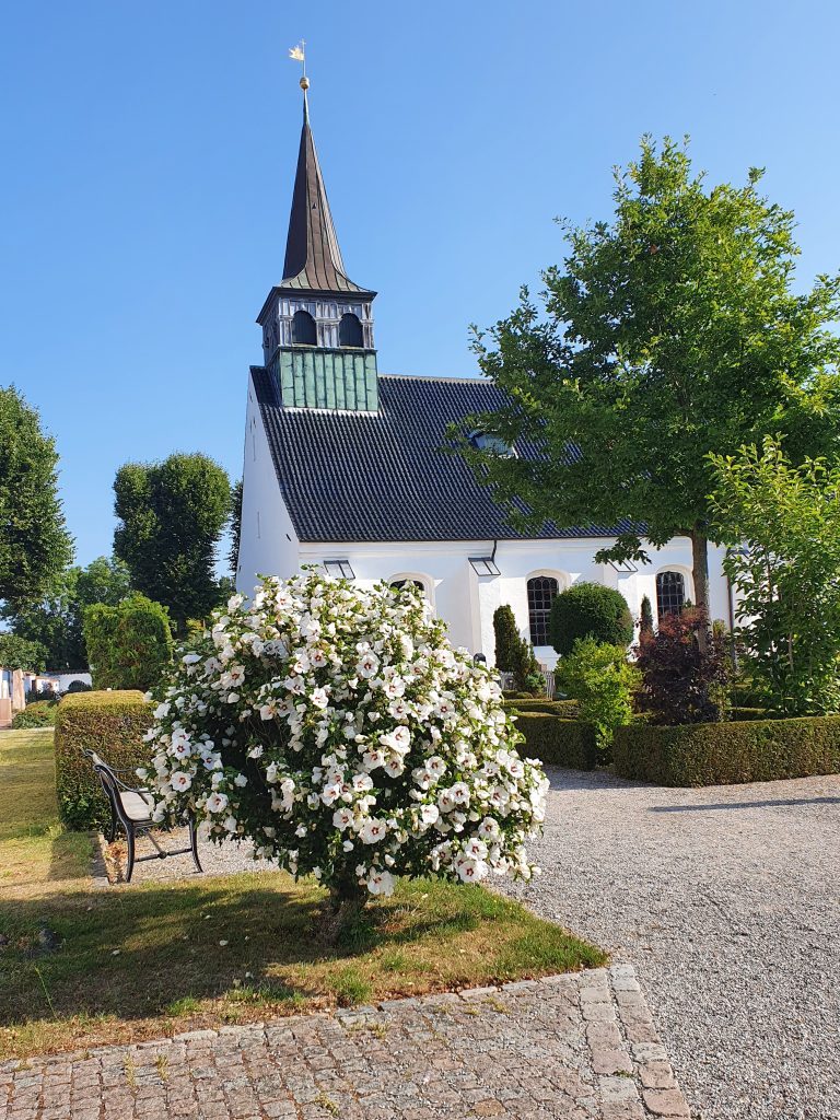 Magleby Kirke 1 Magleby Kirke - Smuk historisk kirke på Lolland, Danmark