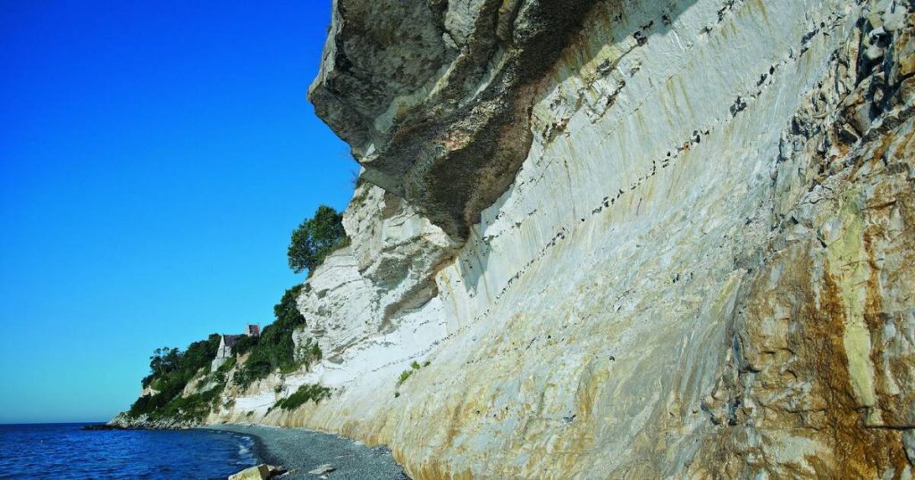 Stevns Klint UNESCO World Heritage 1 Stevns Klint UNESCO Verdensarv – Naturunder ved Østersøen
